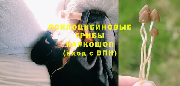 спайс Козельск