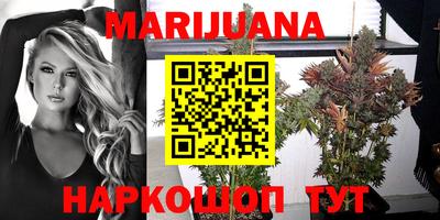 PSILOCYBIN Заволжье