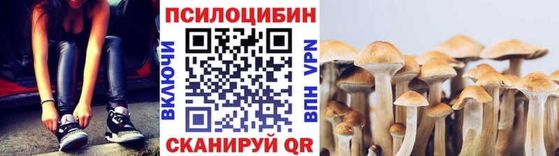 Псилоцибиновые грибы Cubensis Мичуринск