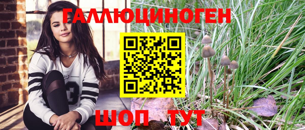 Галлюциногенные грибы Magic Shrooms  Вход с VPN  Мичуринск 