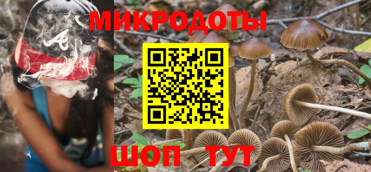 Псилоцибиновые грибы прущие грибы Мичуринск